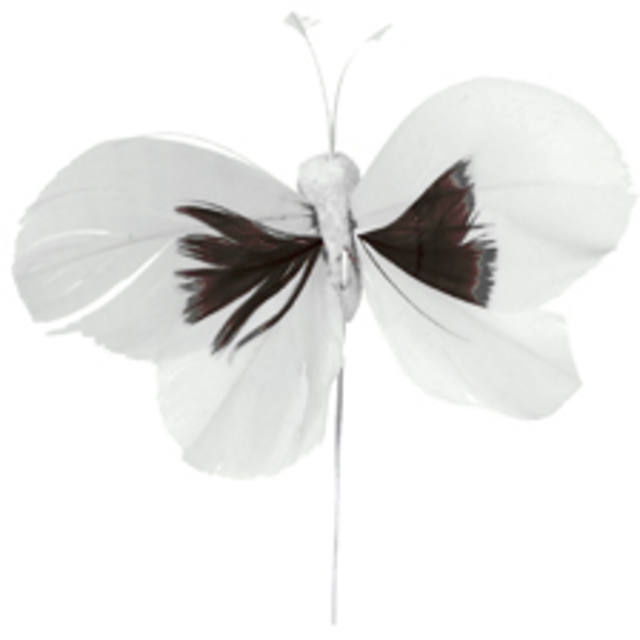 Bijsteker Butterfly 6x10cm+12cm draad 48 stuks wit