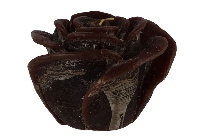 <h4>Candle Roos Choco 14x12cm</h4>