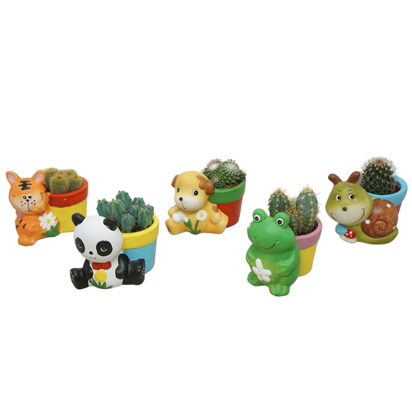 <h4>Cactus mix 5,5 cm in planter dierfiguren (Nieuw model)</h4>