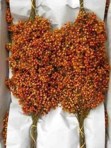 Pepperberries per bunch in poly mixed colours pear