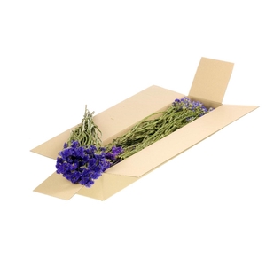 DRIED FLOWERS - STATICE SIN. NAT BLUE