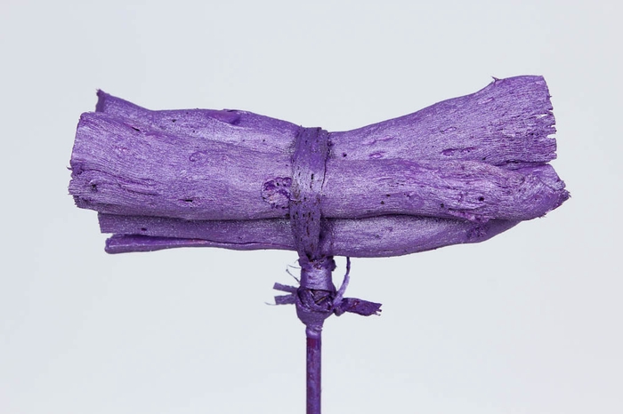 Gandiraj on stem Metallic Purple