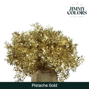 Pistache L50 Mtlc. goud