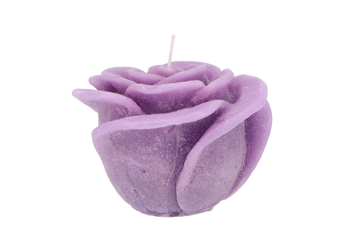<h4>Candle Roos Lila 11x9cm</h4>