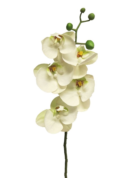 SILK FLOWERS - PHALAENOPSIS SPRAY BORA WHITE 58CM