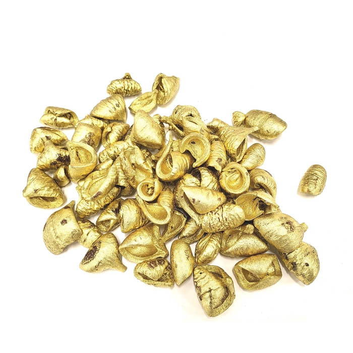 <h4>Lansunia petal 500gr in poly Gold</h4>