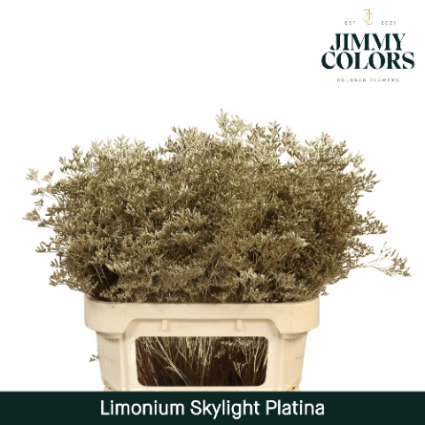 <h4>Limonium skylight paint platina</h4>