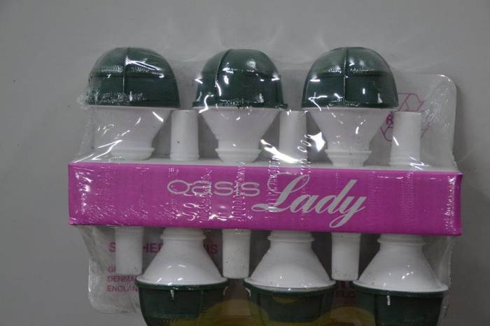 <h4>OASIS LADY 1</h4>
