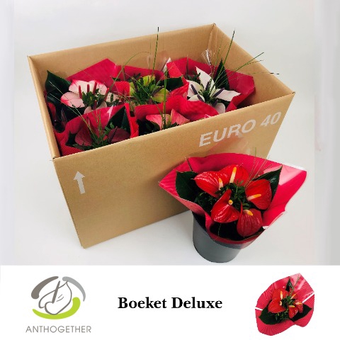 <h4>Deluxe Boeket 5 bloem Rode Hoes 6</h4>