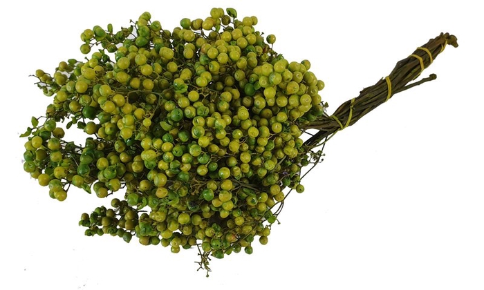 Pepperberries per bunch in poly light green