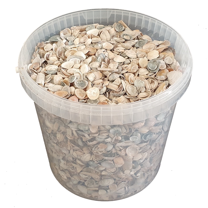 Shells north sea 10 ltr frosted white