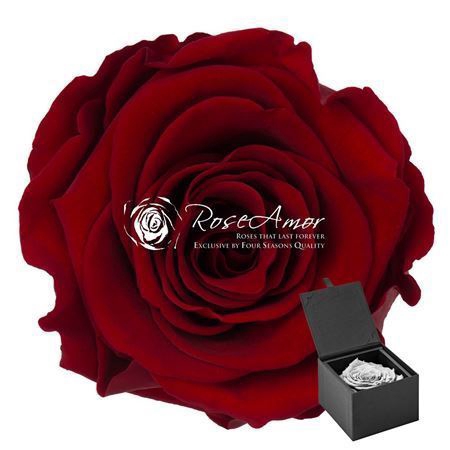 <h4>Pres Giftbox Gb2 Red01</h4>
