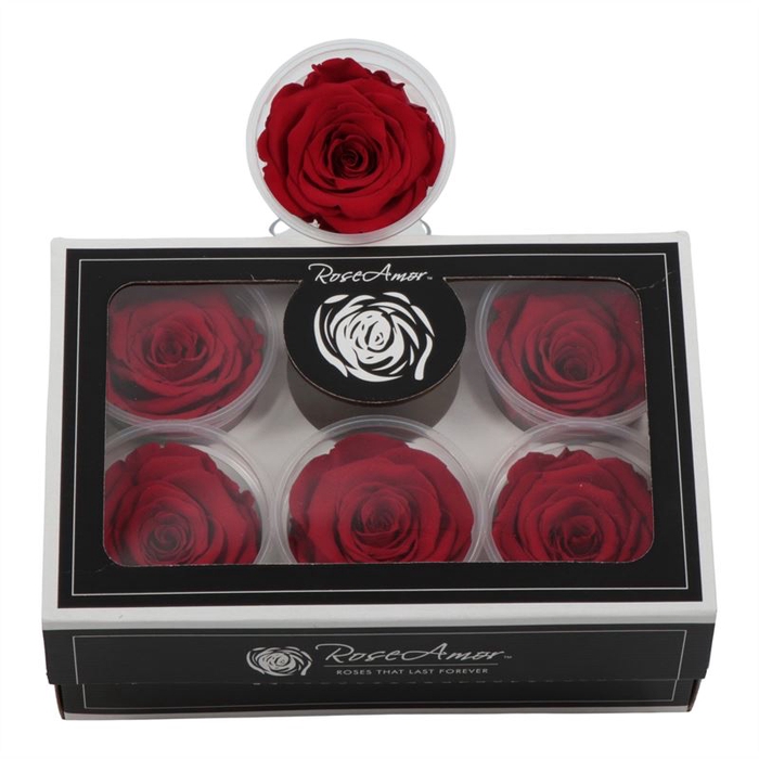 <h4>Rosa Preserved Xl Red 02</h4>