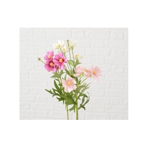 Zijde, Cosmea, H 48 cm, 3 ass, Pink, Light rose, White