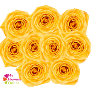Bqts Roses x 9 Stems Yellow 50cm CO
