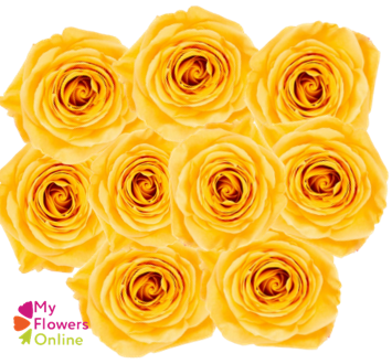 <h4>Bqts Roses x 9 Stems Yellow 50cm CO</h4>