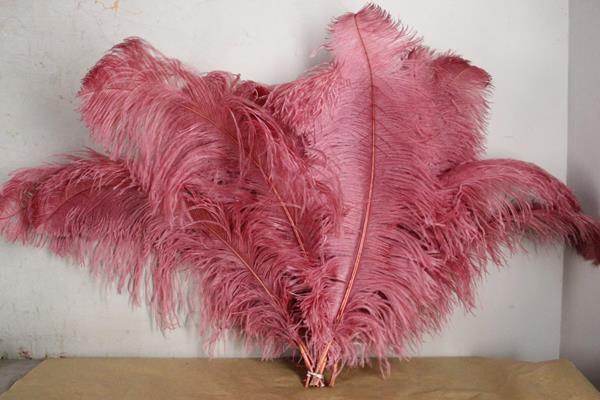 <h4>Feather Ostrich 65cm D.pink</h4>