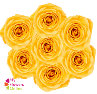 <h4>Bqts Roses x 7 Stems Yellow 50cm CO</h4>