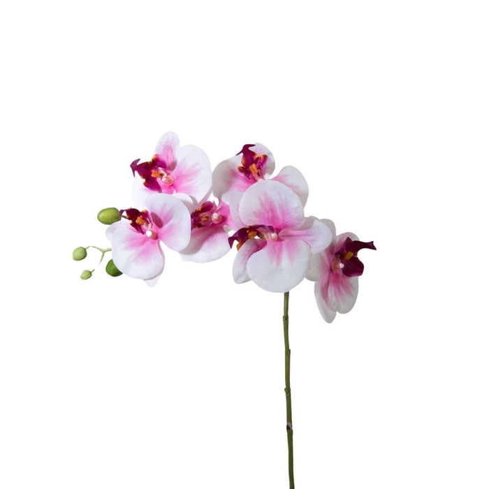 Artificial flowers Phalaenopsis 68cm