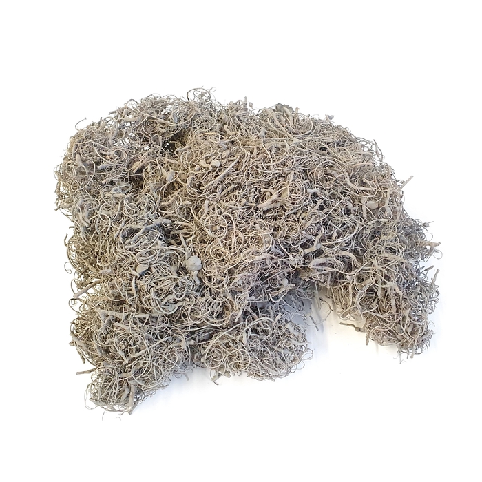 <h4>Curly moss 500gr in poly Frosted Grey</h4>