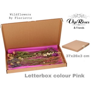 DRIED LETTERBOX PINK