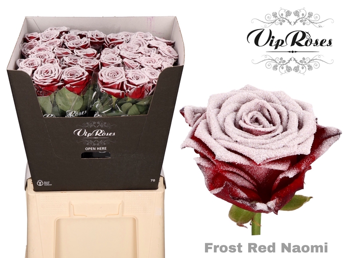 R GR FROST RED NAOMI