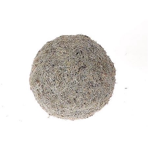 Ball Lichen Moss D20