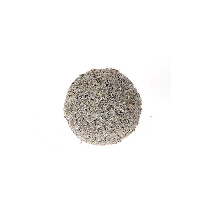 <h4>Ball Lichen Moss D50</h4>
