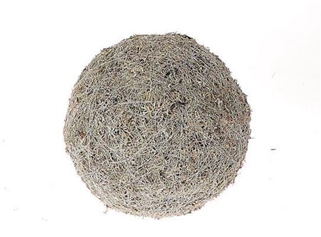 Ball Lichen Moss D50