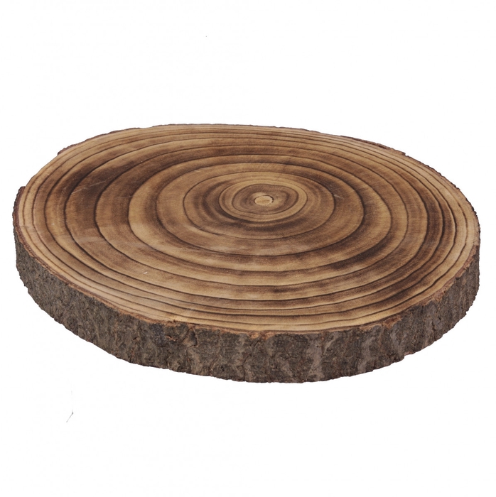 Wood Paulownia disc d40*4cm