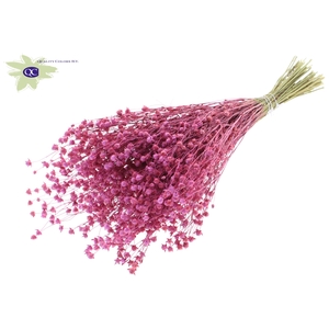Lino vlas per bunch frosted cerise