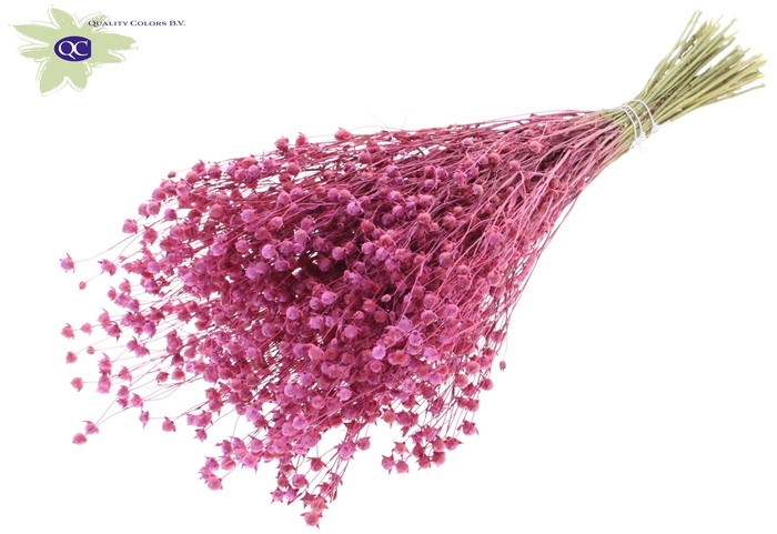 Lino vlas per bunch frosted cerise
