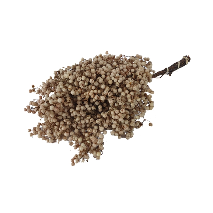 <h4>Pepperberries per bunch in poly Bleached</h4>