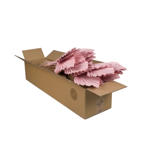 Droogbloemen-Palmspear Pink Misty