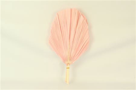 <h4>Dried Palm Spear 3pc Xxl Bl L Pink Bunch</h4>