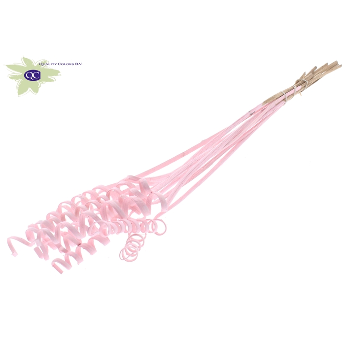 <h4>Cane Spring on stem Covered Light Pink</h4>