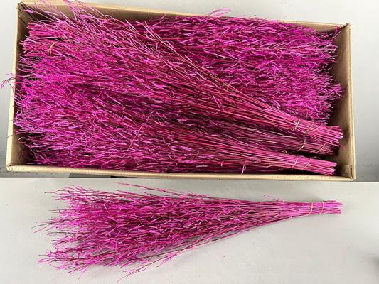Df Saras Grass 50gr Pink