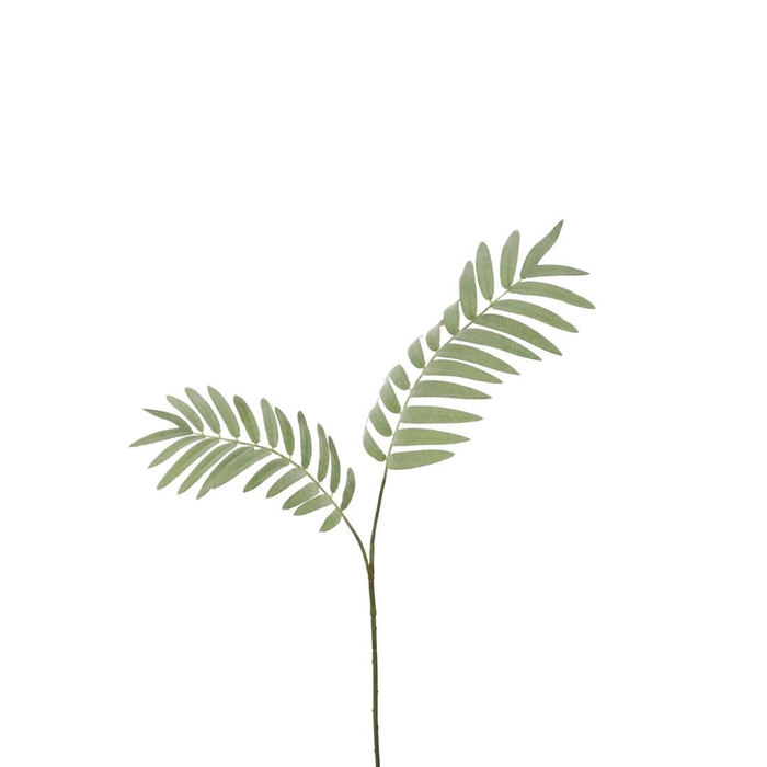 <h4>Kunstplanten Palm fern 82cm</h4>