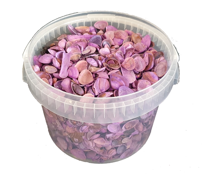 <h4>Shells north sea 3 ltr frosted purple</h4>