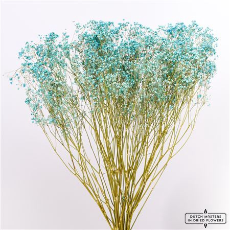 <h4>Dried Gyps Light Blue Extra Bunch</h4>
