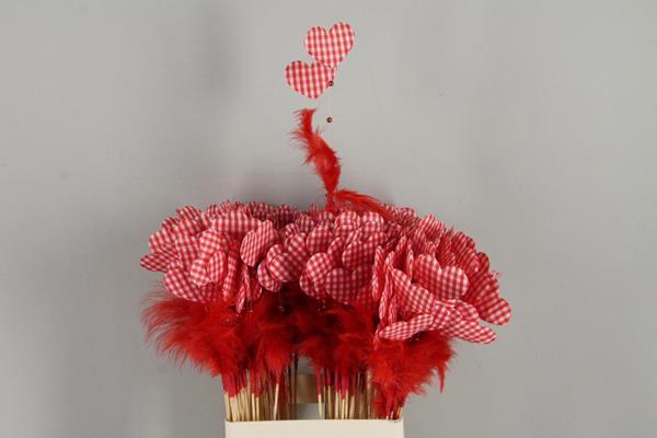 <h4>Stick Heart+feather+pearl Red</h4>