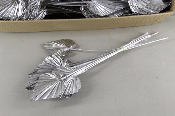Df Palm Spear Medium Silver