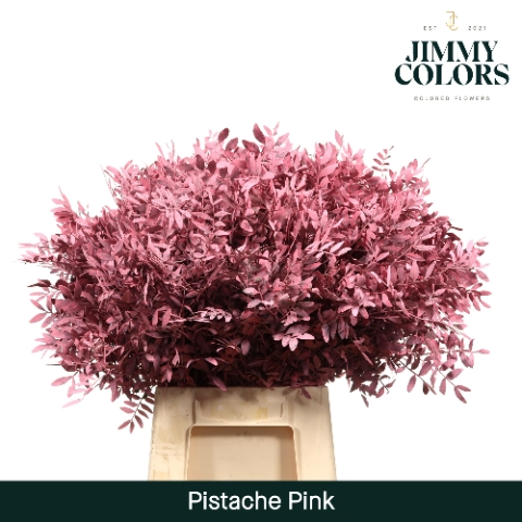 <h4>Pistache L50 Klbh. roze</h4>