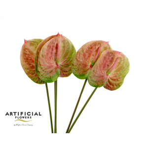 Artificial Soft Touch Anthurium Bio-Color