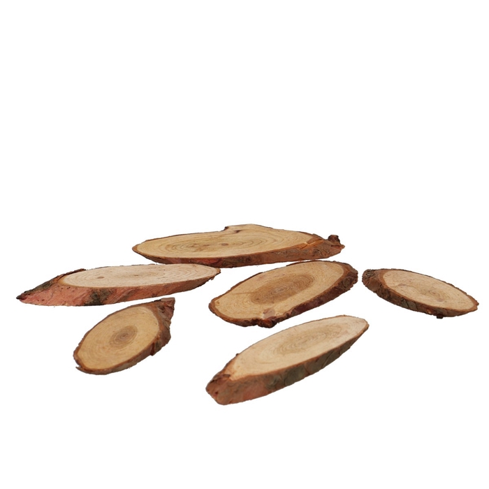 <h4>Dried articles Wood slice pinewood 250g</h4>