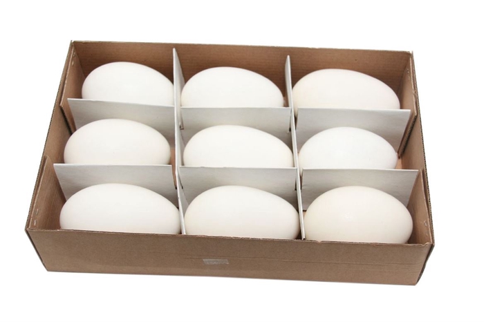 <h4>Basic Egg Goose 9pc</h4>