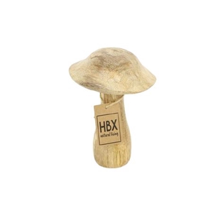 Mushroom Mango H15D10