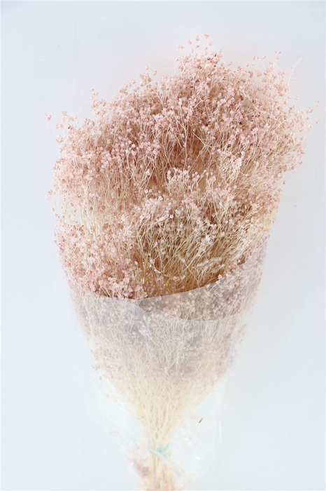 <h4>Dried Brooms Soft Pink Bunch</h4>