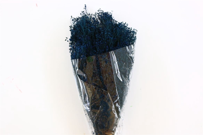 <h4>Dried Brooms Dark Blue Bunch</h4>
