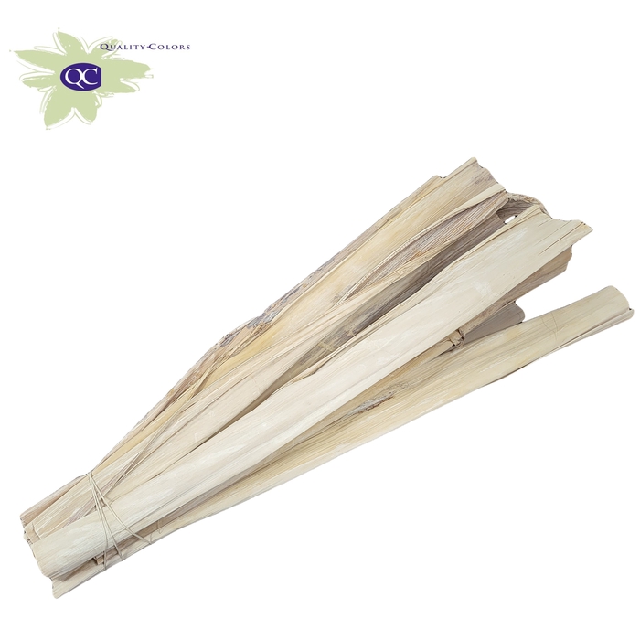 <h4>Banana leaves 10pc per bundle 10cm 45cm Frosted White</h4>